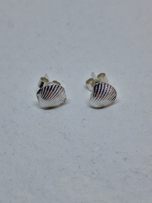 Cockle shell stud earrings