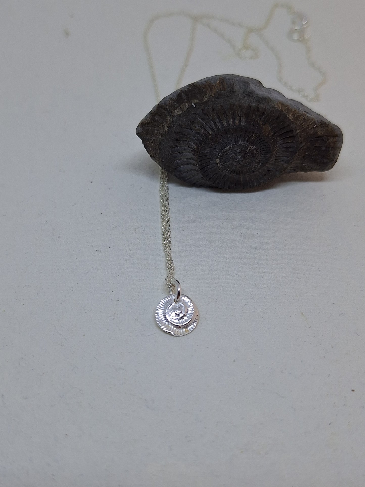 Ammonite charm pendant
